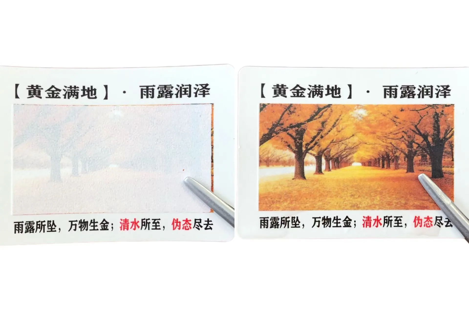 Scisne colorum mutatione aquae pittacia sensitiva?